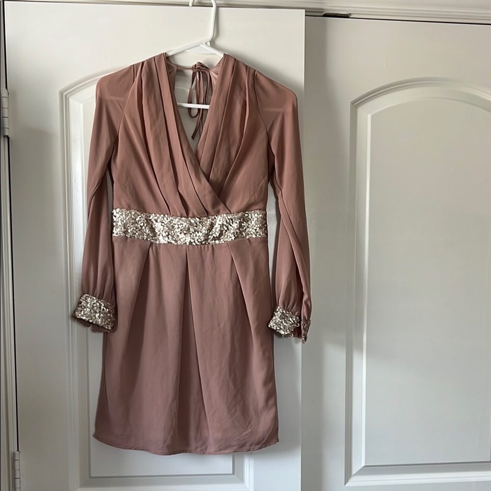 Long Sleeve sequin detailed Dress